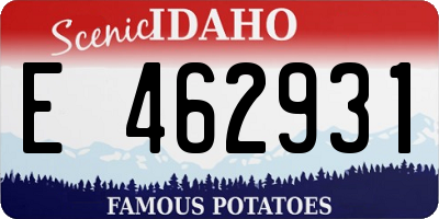 ID license plate E462931