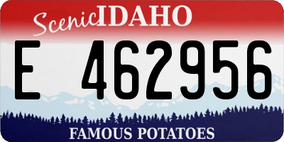 ID license plate E462956