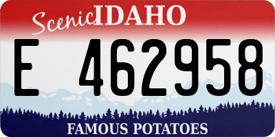 ID license plate E462958