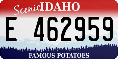 ID license plate E462959