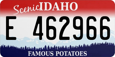 ID license plate E462966