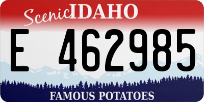 ID license plate E462985