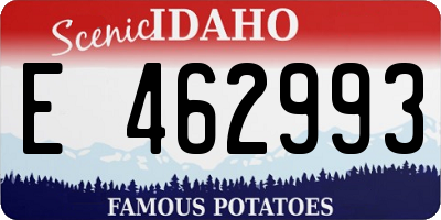 ID license plate E462993