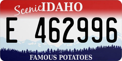 ID license plate E462996