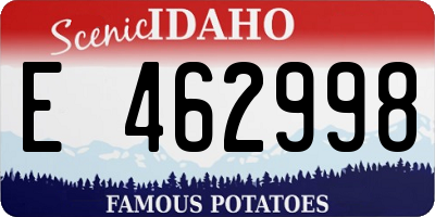 ID license plate E462998