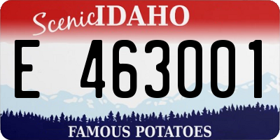 ID license plate E463001