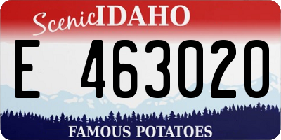 ID license plate E463020