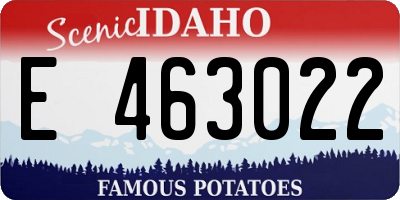 ID license plate E463022