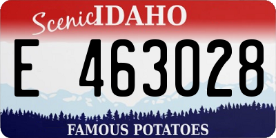 ID license plate E463028