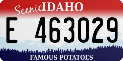 ID license plate E463029
