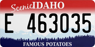 ID license plate E463035