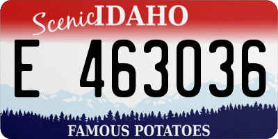 ID license plate E463036