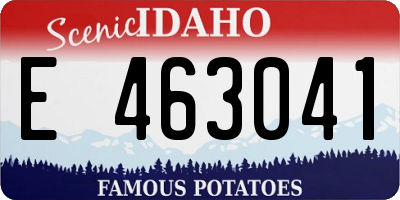 ID license plate E463041