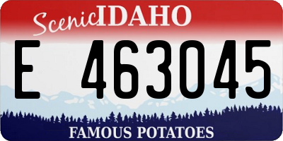 ID license plate E463045