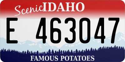 ID license plate E463047