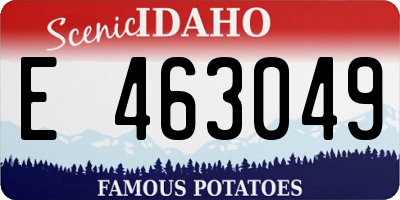 ID license plate E463049