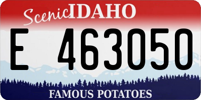 ID license plate E463050