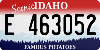 ID license plate E463052