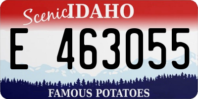 ID license plate E463055