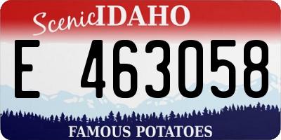 ID license plate E463058