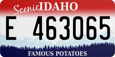 ID license plate E463065