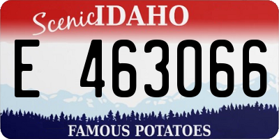 ID license plate E463066