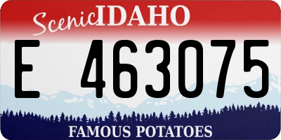 ID license plate E463075