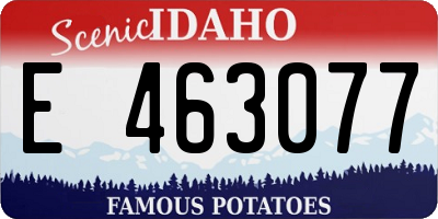 ID license plate E463077