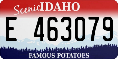 ID license plate E463079