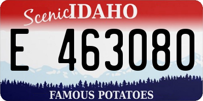 ID license plate E463080