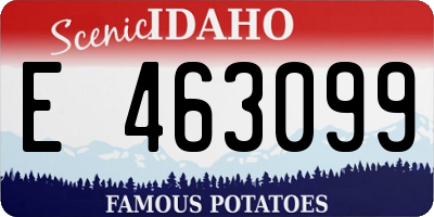 ID license plate E463099
