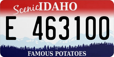 ID license plate E463100