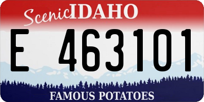 ID license plate E463101