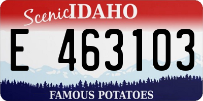 ID license plate E463103