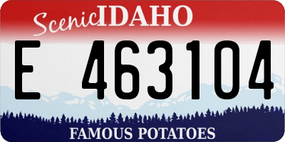 ID license plate E463104