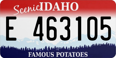ID license plate E463105