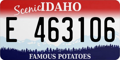 ID license plate E463106