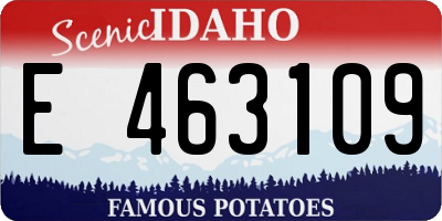 ID license plate E463109