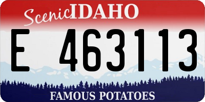 ID license plate E463113