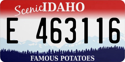 ID license plate E463116