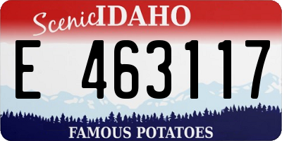 ID license plate E463117
