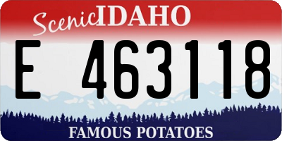 ID license plate E463118