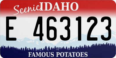 ID license plate E463123
