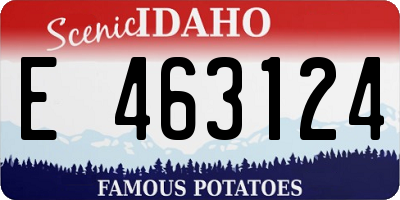 ID license plate E463124