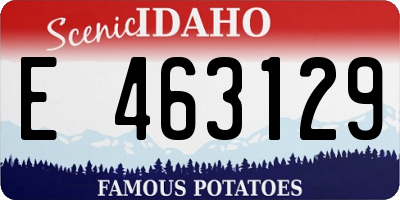 ID license plate E463129