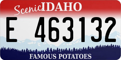 ID license plate E463132