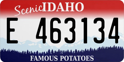 ID license plate E463134