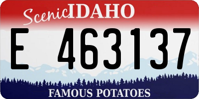 ID license plate E463137
