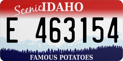 ID license plate E463154