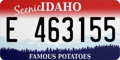 ID license plate E463155